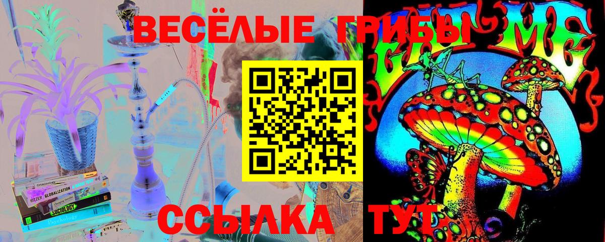 Железноводск  Псилоцибиновые грибы Cubensis  Вход с VPN 